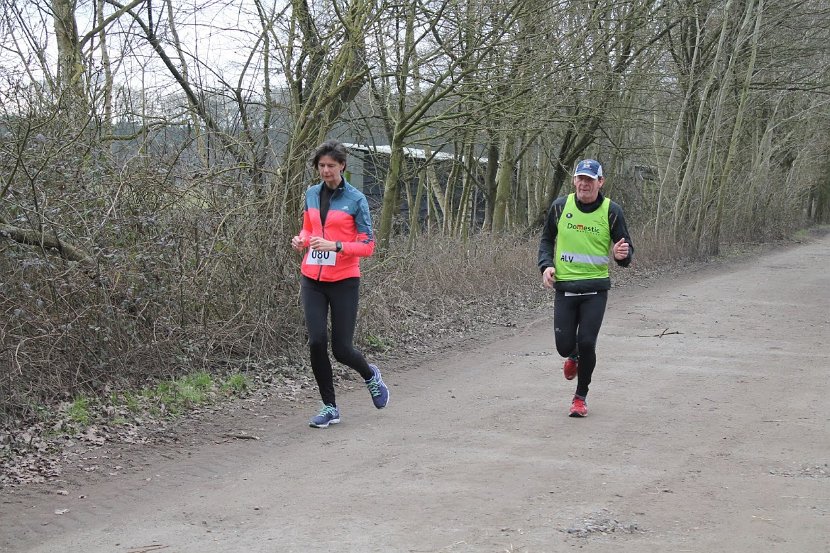 Bosloop Brecht - 48